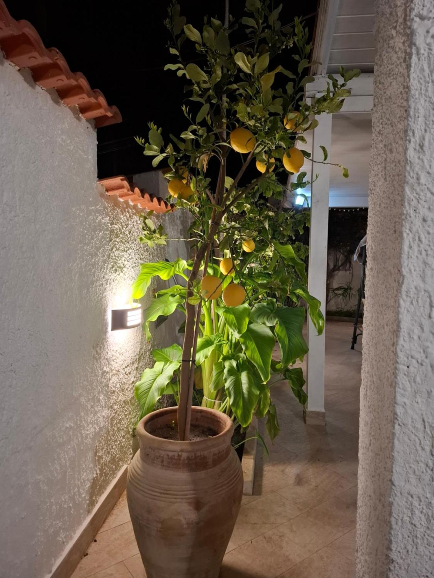 Villa Toluammare Sicily Santa Maria Del Focallo Exterior foto